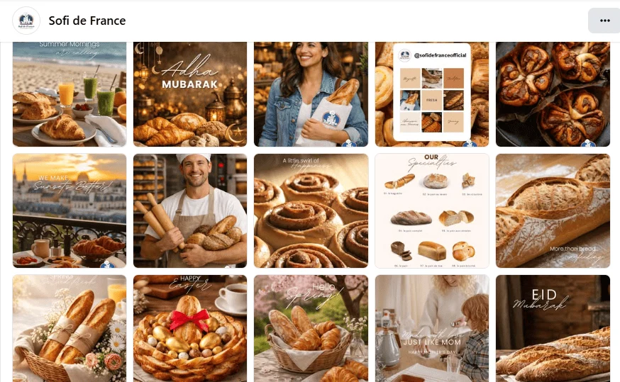 Sofi de France — published project visual 1